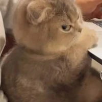 Peter của Tề Chu:))))