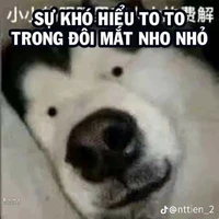 Nvp