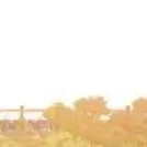 ????