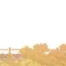 ????