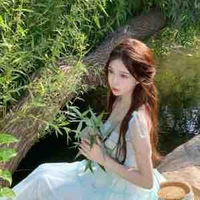 Tác giả bị lười