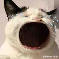 All lũ giặc