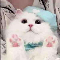 Cừu