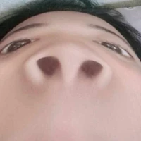 Bụt