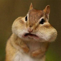 nhỏ gin cũng như tác giả nè