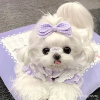 cả lớp