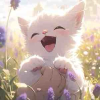 Hệ thống 143(Akine Mani)