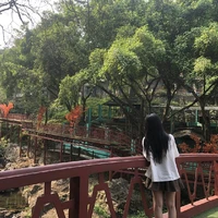 Tác giả xàmm loizzz