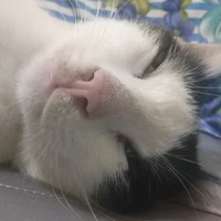 Tác giả Loading....⭕