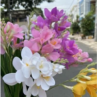 Hệ thống