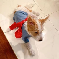 Lửa hận thù 🔥🔥