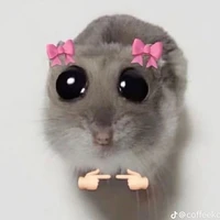 t/g