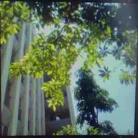 _Evryal_