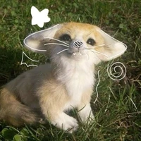 Phi Phi【Hệ Thống_T/G】