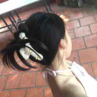 Nhỏ tác giả