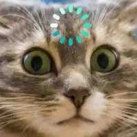 Nv chưa lộ diện