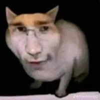 T/g