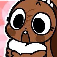 Cocoa