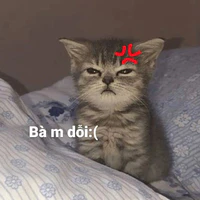 mẹ đẻ của truyện