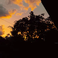 nvp