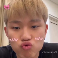 dương domic