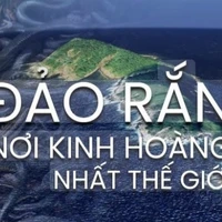 cả lớp