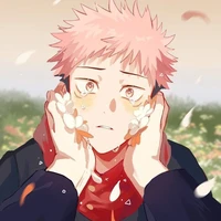 itadori yuji/bot/
