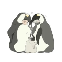 T/G