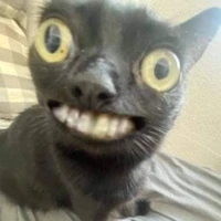 Ngáo