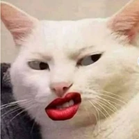 Hệ thống 0 biết gì đou