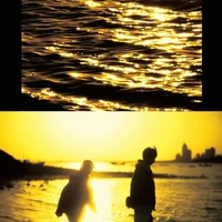 Page Confessions zzX