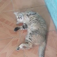 Hệ Thống