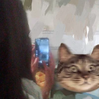 tớ là tg