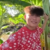 Thanh Nhã