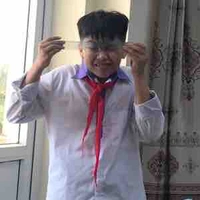 Việt Anh