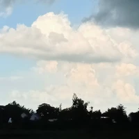 t/g