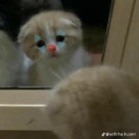 tác giả xàm nho