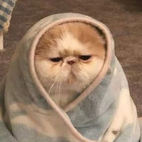 Bốy