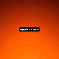 Nguyễn Thuỳ Chi