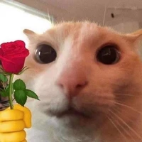 Tác giả ( Mimu🌹🌹🌹 )