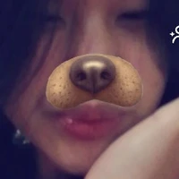 t/giả