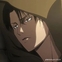 levi