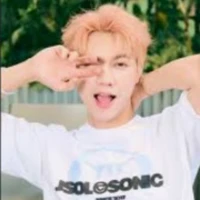 Nguyễn Thái Sơn_Jsol