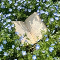 Mọi người ở đó