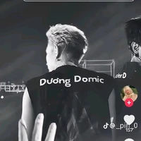 dương domic