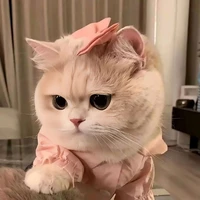 himi