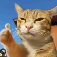 Tác giả đây!!