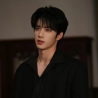 Lưu Diệu Văn_Anh