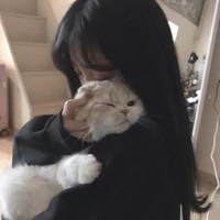 Hải Yến