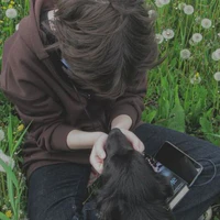 Dogs lover [Hải Dương]